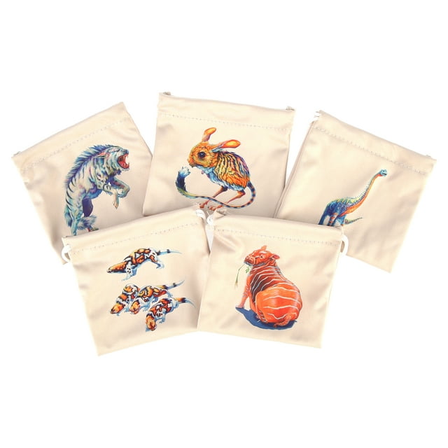 evolution the beginning