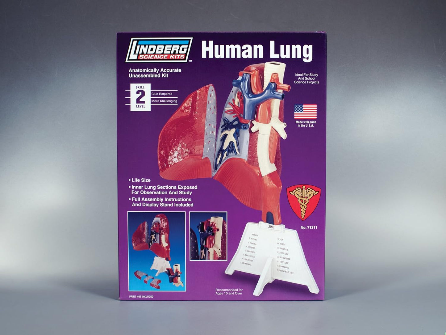 Lindberg Human Lung Fashions for Home