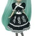 Shibajuku Anime 13" Fashion Doll- Akira