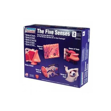 Lindberg The Five Senses