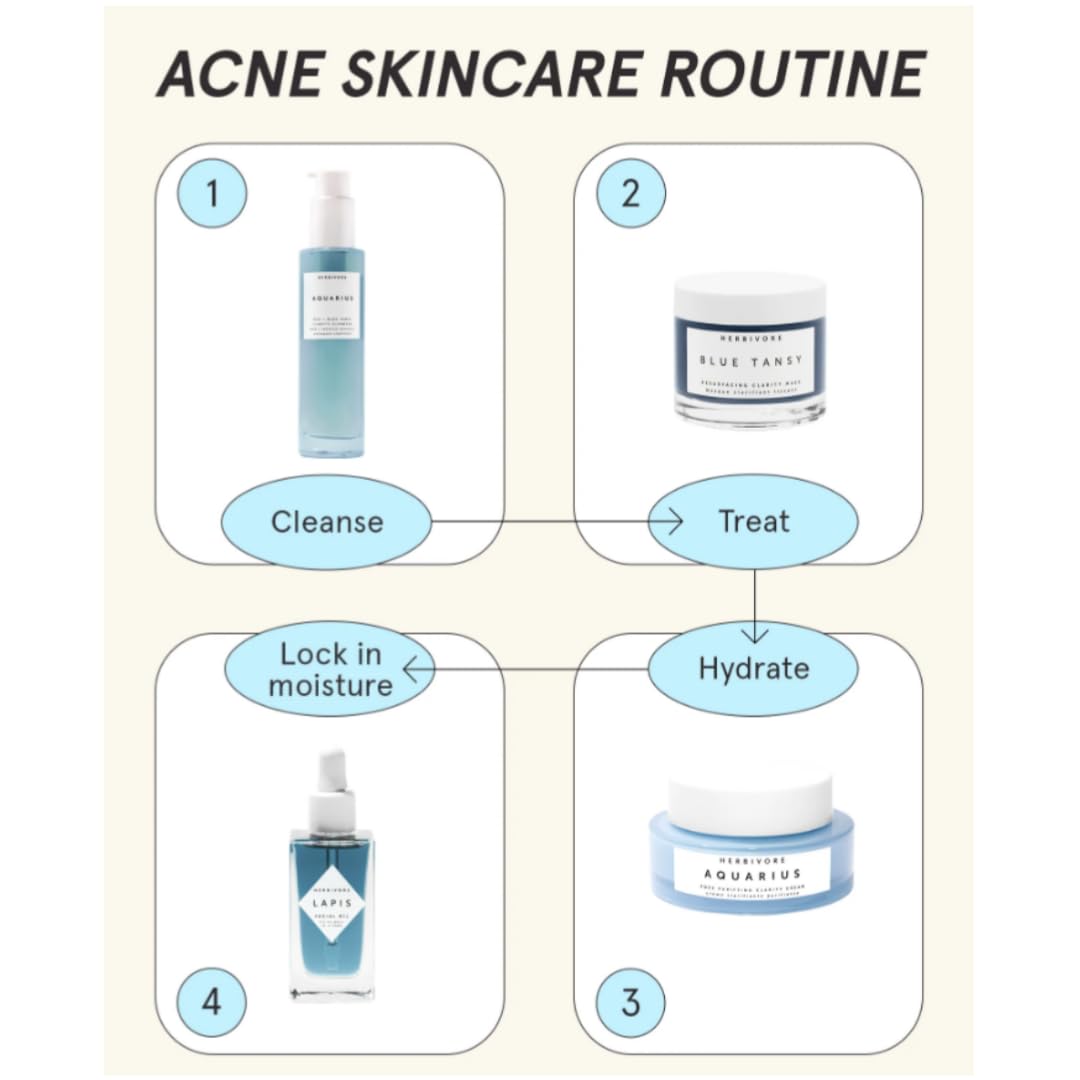 HERBIVORE Aquarius Pore Purifying Clarity Cream – Daily Moisturizer with BHA to Clean Pores & Balance Oily Skin for a Soft, Matte Finish, Plant-based, Vegan, Cruelty-free, 50mL / 1.7 oz