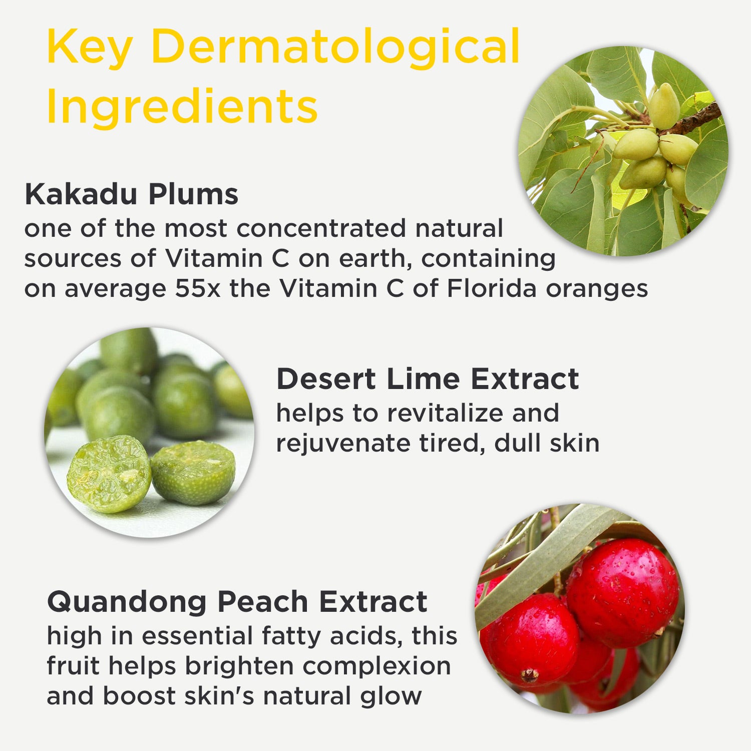 Dermadoctor kakadu C Face Creme - Fashions for Home