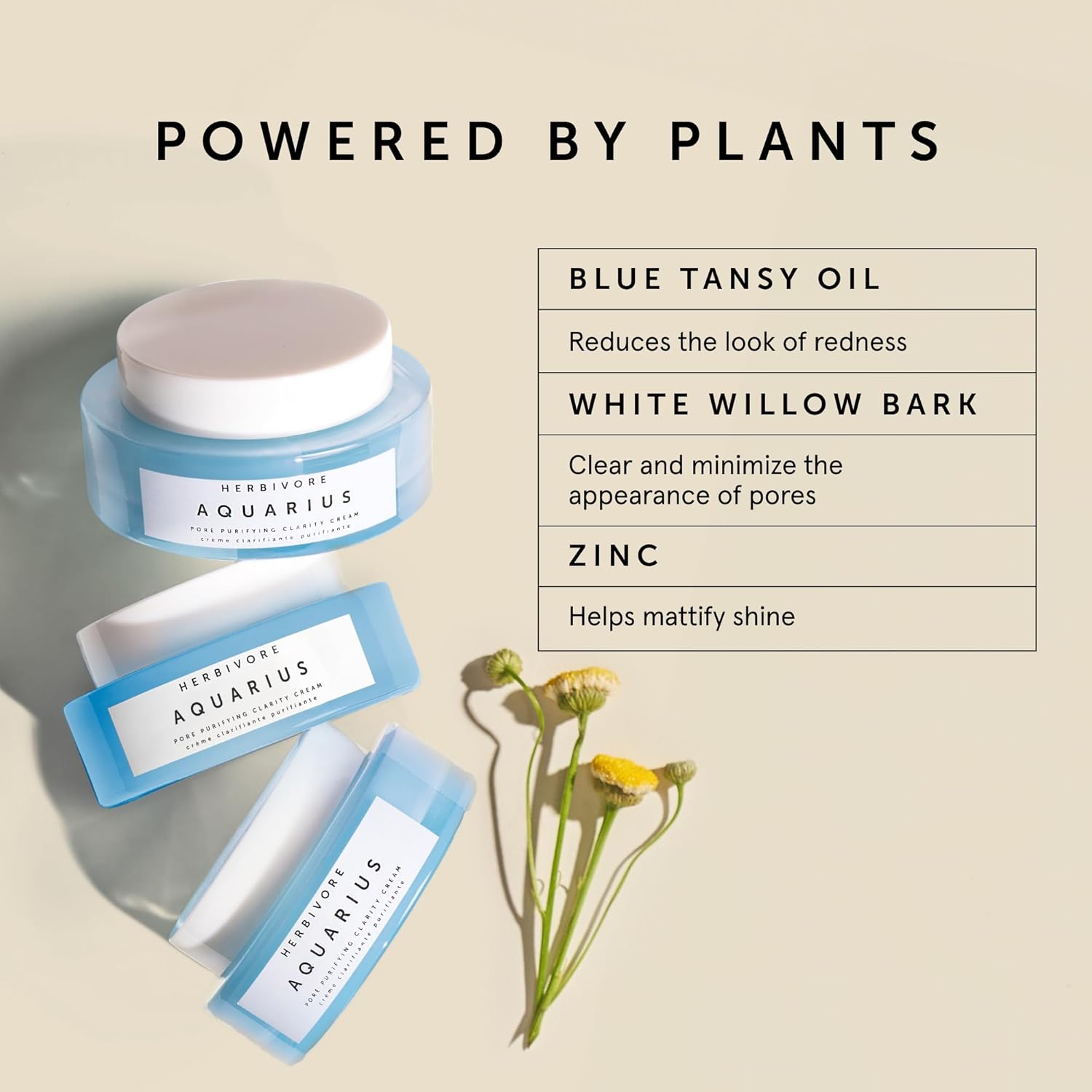 HERBIVORE Aquarius Pore Purifying Clarity Cream – Daily Moisturizer with BHA to Clean Pores & Balance Oily Skin for a Soft, Matte Finish, Plant-based, Vegan, Cruelty-free, 50mL / 1.7 oz