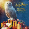 Reinhart Pop-Up Studio: Harry Potter: Hedwig Pop-Up Advent Calendar (Hardcover)