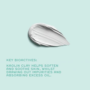 REN Clearcalm Invisible Pores Detox Mask