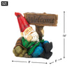 Solar Light-Up Welcome Garden Gnome and Turtle