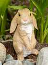Curious Rabbit Garden Statue