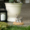 Baby Bunnies Garden Decor