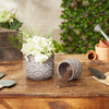 Cement Flower Pot Set - Taupe Scallop Design