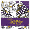 Harry Potter: Harry Potter: Winter at Hogwarts: A Magical Coloring Set (Other)
