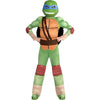 Amscan Teenage Mutant Ninja Turtles Leonardo Muscle Halloween Costume for Boys, Small, with Included Accessories