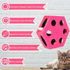 FluffyDream Interactive Cat Maze Box Toy, Electrical Cat Exercise Teaser Toy with Plush Tail & Ball Contains Bells, Fluffy Toys, Toys for Indoor Cats, Pets, Kitten, Kitty, Pink