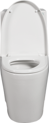 15 5/8 Inch 1.1/1.6 GPF Dual Flush 1-Piece Elongated Toilet with Soft-Close Seat - Gloss White  23T01-GW