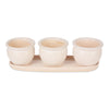 Ceramic Mini Planter Set - Ivory Round