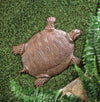 Cast Iron Turtle Stepping Stone